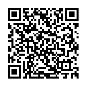 他们已经忘记昊天域界有多久没有昊天的存在了二维码生成
