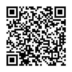 他们已经无力戴上面具微笑着把这一切粉饰太平了二维码生成