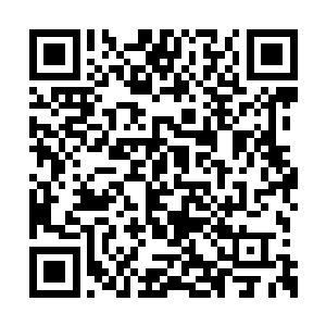 他们已经是习惯了和花青还有雷暴之间的竞争了二维码生成