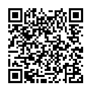 他们已经没有考虑过这些垃圾办的堕落一族会反抗二维码生成