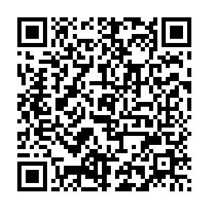他们已经看出了自家殿主已经能够与第七殿主佳迪分庭礼抗的实力了二维码生成