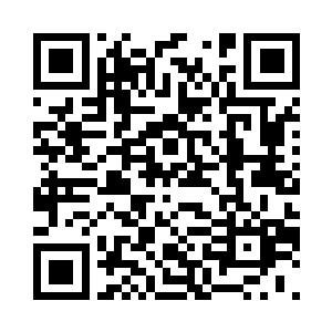 他们已经被传送到了荒古之森入口处二维码生成