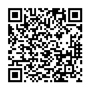 他们已经采用李代桃僵的方式拿下了十座城并安插不少人二维码生成