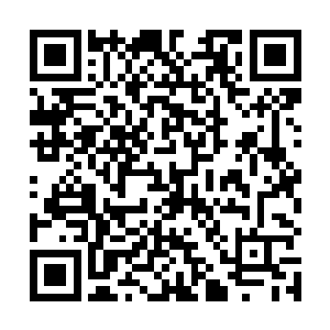 他们并不打算采取那种极端的方式来试图重现人道赤潮二维码生成