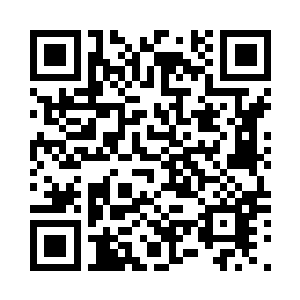 他们并不知道杨锐计划中的教材规模二维码生成