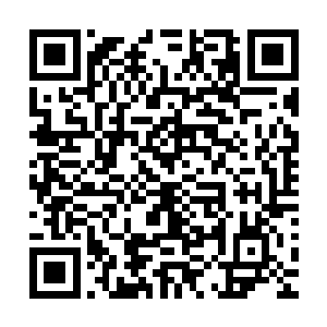 他们并没有找到任何一条与这些已知的主神境强者相似的特征二维码生成
