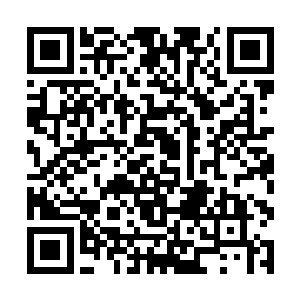 他们应该可以完成这次的……武器资源回收任务……二维码生成
