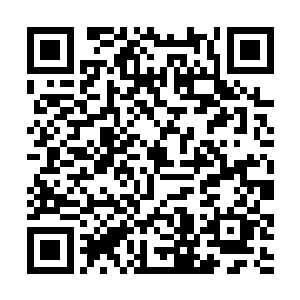 他们应该就是传说中奥林匹斯曾经最精锐的杀戮部队二维码生成