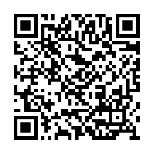 他们应该看上的是职业摔跤比赛里的那些运动员二维码生成