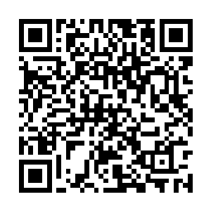 他们开始为王靖露接下来的独立创业的计划而游说二维码生成