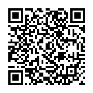 他们开始希望骨器本身就具有战士或者治疗者的能力二维码生成