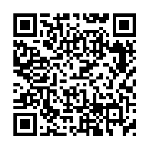 他们当时还想着要是能带那样的太子和世子回京二维码生成