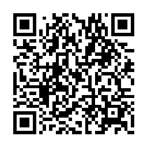 他们当然不可能眼睁睁地看着大龙被紫色方偷掉二维码生成