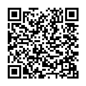 他们当然不满足只拥有新发现原始星百分之十的开拓权二维码生成