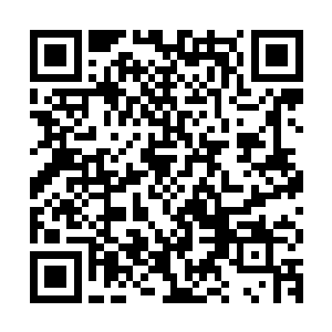 他们当然不认为他们城里最出名的两个天才会打不败林烽一个人二维码生成