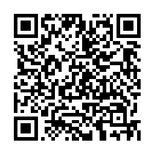 他们当然知道这是陈凌的白剑中释放出来的血兽二维码生成