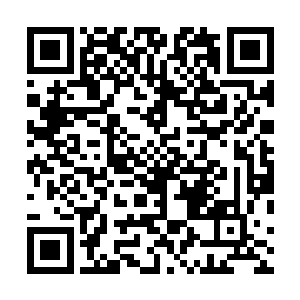 他们往常也都是要一直目送被保护的对象进入到研究院大二维码生成
