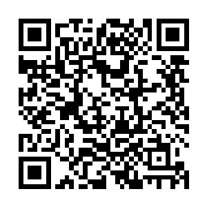 他们很多人都从百族强者身上感受到了禁器的力量波动二维码生成