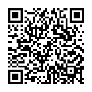 他们很好奇到底是什么势力敢和七大王族的亲族对战二维码生成