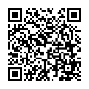 他们很清楚如果自己不ban布隆的话对面绝对会一抢二维码生成