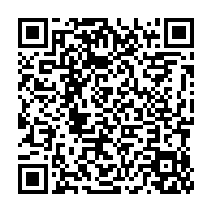 他们很清楚这五毒教教主之所以踪影不见那是为了躲避秦宇和那位小九二维码生成