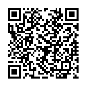 他们得知华夏龙公司的灵源外溢主要是有两个源头二维码生成