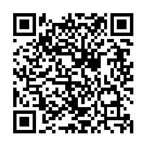 他们心中最强大的九鼎高手被夏天一招灭杀了三十九个二维码生成