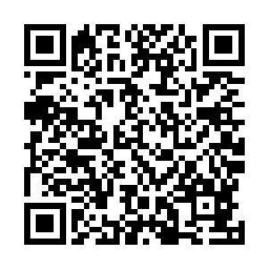 他们必然不会因为卢屹星的个人喜欢就去向一个女孩提亲二维码生成