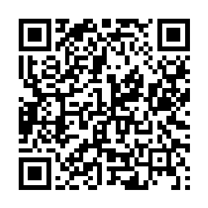 他们必然会放弃beautypupil转而来参加凌桦的记者招待会二维码生成