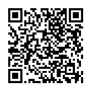 他们必须接受一个外来的将军成为他们的军团长二维码生成