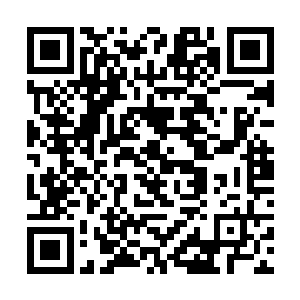 他们必须接受从此以后每日与机器人一同生活的事实二维码生成