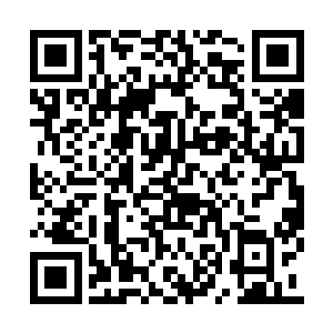 他们必须进行长时间的体能和剑术以及箭术训练二维码生成