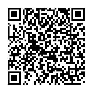 他们怎么也没想到自己如此敬业竟然有人在他们眼皮子低下进出陵墓二维码生成