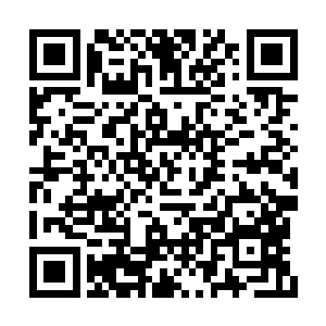 他们怎么会明白实力的重要性~~~像是秦慎独他们二维码生成