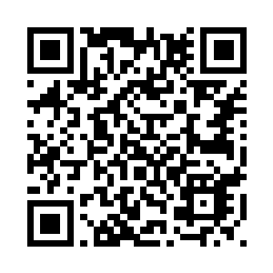 他们怎么可能会对一个新人服软呢二维码生成