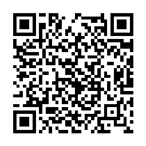 他们怎么可能伤害的了皇帝陛下和您这样的贵客呢二维码生成