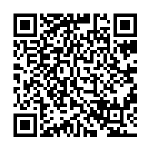 他们怎么可能将真正的舰队战斗力数值都老老实实告诉我们二维码生成
