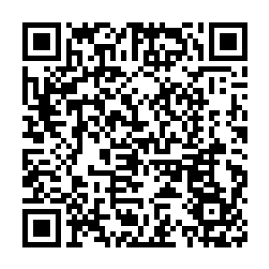 他们怎么都想不到二排十七号包间的主人居然是族长的另外一个儿子二维码生成