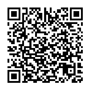 他们怨恨为什么会将原本属于他们的田宅家产和奴隶给剥夺了……是的二维码生成