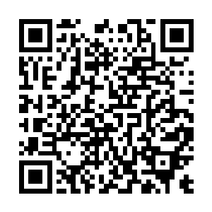 他们总不可能忘记亲儿子小时候溺水昏迷半个月的事情吧二维码生成