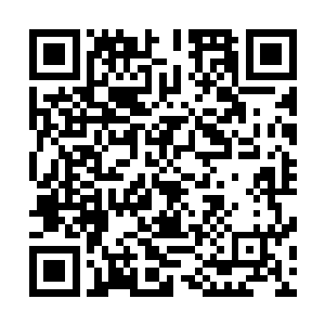 他们恰好看到一棵大树的树干被黑白两条巨大锁链层层缠住二维码生成