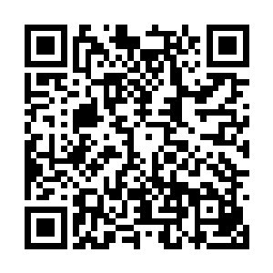 他们情愿相信第一个可能也不愿意相信第二个可能二维码生成
