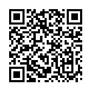 他们想反抗 可骨子里已经接受了事实二维码生成