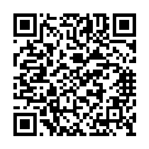 他们感受到了一股源自血脉灵魂之中的恐怖威压二维码生成