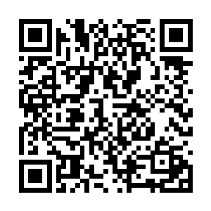 他们感觉到那虚无果内蕴藏着极为浓郁的虚无之力二维码生成