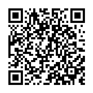 他们感觉自己像是能够感觉到它的愤怒它的不甘一样二维码生成