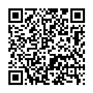 他们或许有一些手段能让一些强大的力量混入其中二维码生成
