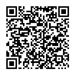 他们所发起的自杀式攻击也几乎没能对那雷鸟和雷虎造成多大的影响二维码生成
