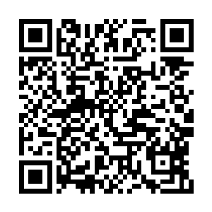 他们所有人都感觉这一次百族实在是太拼命了点二维码生成