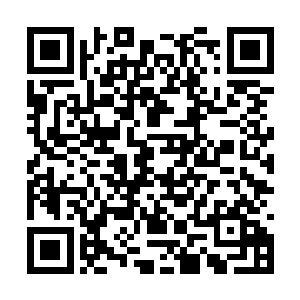 他们所有人都没有预料到今天居然真的是私人晚宴二维码生成